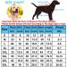 Shop Hualisiji Hooded Sweater for Dogs | Warm & Light Chihuahua Clothing - XXL Black/Red 2PCs - Buy Online on GoSupps.com