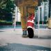 Buy LED Back Christmas Cast Sock Cover - Santa Red Foot Protector for Men & Women | Size L - Holiday Cast Cover - Buy Online on GoSupps.com