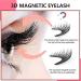 Europe America Eyelashes Magnetic Eyelashes 3 Seconds Wear + Magnetic 3D Magnetic/Reusable No Glue Or Eyeliner Needed with Clip X 1+ Box X 1 Easy to Carry KS01-3 - Buy Online on GoSupps.com