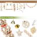 Vegena Bird Toys Set of 8 - Colorful Wooden Ladder Toys & Landing Pads for Budgies Parrots Finches & More - Premium Cage Accessories - Buy Online on GoSupps.com