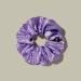 Lilysilk 100% Silk Hair Rings for Women | Soft & Reusable Ponytail Holder - Eggplant Skin Packaging | 1 Pack - Buy Online on GoSupps.com