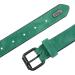 Didog Personalized Leather Dog Collar - Soft Padded Engraved Name Tag for Small & Medium Dogs - Custom Green XXL (50-60 cm) - Buy Online on GoSupps.com