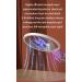 Electric Bug Swatter Rechargeable Bug Zapper 3-in-1 Electric Mosquito Swat 3000V High Voltage LED Handheld Mosquito Swat with 3-Layer Safety Net USB Rechargeable Portable Fly Swat - Buy Online on GoSupps.com