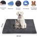 ENJOY PET Dog Heating Pad - 12 Level Timer and Temperature Control - Indoor Pet Heating Mat for Cats and Dogs - Chew Resistant Cord - Large 28 x 18 - Buy Online on GoSupps.com