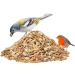 Paul's M hle Wild Bird Food - 10 kg for Breeding & Rearing | Premium Bird Feed - International Shipping - Buy Online on GoSupps.com