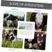 Beaupretty 2 StK Pregnant Tester - Farm Animal Pregnancy Test Paper for Cattle & Sows | Colloid Test Card Tool - 1 Pack - Buy Online on GoSupps.com