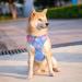 Phoepet No Pull Dog Harness - Reflective Dog Vest with Soft Training Handle for All Sizes - Baby Blue & Pink - Buy Online on GoSupps.com