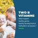 Seeking Health Active B12 with L-5-MTHF 60 Lozenges - Vitamin B12 Supplement for Cellular and Cognitive Health - Vegan Friendly - Buy Online on GoSupps.com