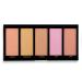 Profusion Cosmetics 5 pc Luminizer Makeup Palette - Anti Aging Bronzer, Radiance Luminizer & Brightening Blush - Buy Online on GoSupps.com