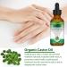 GROVL Castor Oil 100% Pure Cold Pressed Castor Oil Essential Oils Stimulates Eyelash and Hair Growth Suitable for Hydrating Body Face and Skin Brow Boosts Eyebrow Growth 60ml - Buy Online on GoSupps.com