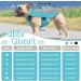 Shop Hjumarayan Cooling Vest for Dogs | Breathable Summer Dog Cooling Coat with D-Rings - Perfect for Hot Days - Size M Blue - Buy Online on GoSupps.com