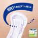 TENA Intimates Incontinence Pads for Women - Light Absorbency, Ultra Thin, Regular Length - 30 Count (Pack of 6) - Buy Online on GoSupps.com