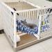 Adjustable Cat Hammock Bed - Comfortable Hanging Pet Hammock for Cats, Small Dogs, Rabbits & Small Animals (Blue) - Buy Online on GoSupps.com