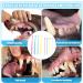 8pcs Dog Toothbrush 2 Styles Soft Bristle Small Cat Toothbrush Micro Head Kitten Teeth Cleaning Brush Dental Care Supplies for Tiny Puppy Kitty Reduce Plaque Tartar Formation & Bad Breath - Buy Online on GoSupps.com