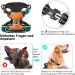 Heele Adjustable No-Pull Dog Harness for Large Dogs | Reflective Breathable Padded Handle | XL University Orange (53-97cm) - Buy Online on GoSupps.com