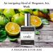 Inspired by Code 1.9 oz. EDP Mens fragrance with Bergamot Clary Sage and Musk is a seductive fragrance that eludes confidence. - Buy Online on GoSupps.com