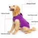 EXPAWLORER Fleece Dog Hoodie with Leash Hole, X-Large Purple - Warm Winter Coat for Dogs - Buy Online on GoSupps.com