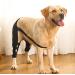 WOBBLO Support for Dog Knee Brace for Rear Leg | Pet Leg Wounds Protector Hip Joint Support Protects Wounds for Small and Medium Dogs - Buy Online on GoSupps.com