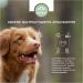 Naftie Hirschweihtihst ck - Mineral-Rich Durable Chewing Bones for Puppies & Small Dogs - Low Smell XS Size - International Shipping - Buy Online on GoSupps.com
