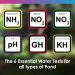 NT Labs Pond Lab Multi-Test Kit (6 Key Parameters - Ammonia Nitrite Nitrate pH General Hardness and Carbonate Hardness) Pond Water Test Kit Accurate Results Up to 200 Tests Combine Liquid Test - Buy Online on GoSupps.com