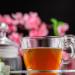 Organic Stinging Nettle Herbal Tea Aids with Seasonal Allergies NPN 80002075 Joints and Urinary System Pack of 50 Tea Bags - Buy Online on GoSupps.com