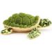 Zappi Co Ultra Soft Turtle Plush Toy (33cm) - Eco-Friendly Newborn Gift - Buy Online on GoSupps.com