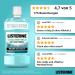 Buy Listerine Cool Mint Mild Mouthwash 500ml - Alcohol-Free Antibacterial Solution for Daily Dental Care - Buy Online on GoSupps.com