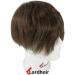 Lordhair Toupee for Men with 100% European human hair 8x10 inch Hairpiece for Men 0.03mm Ultra Thin Skin Hairsystem All V-looped Mens Toupee (Light Brown #7) Light Brown 7# - Buy Online on GoSupps.com