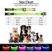 LED Light Up Dog Collar - USB Rechargeable, Waterproof, Adjustable - Green - M(38-50cm/15-19.7inch) - Buy Online on GoSupps.com