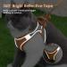 Eyein Cat Harness and Lead Set for Walking - Adjustable Escape Proof Kitten Vest Harness with Reflective Strip - Green & Orange - Medium Size - Buy Online on GoSupps.com
