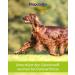 FLEXADIN ADVANCED Dog Joint Health Treats | Undenatured Collagen Type II (UC-II ) & Boswellia | 60 Count - Shop Internationally! - Buy Online on GoSupps.com