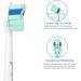 Senyum Replacement Toothbrush Heads for Philips Sonicare - 10 Pack, White | Compatible with Sonicare Electric Toothbrushes - Buy Online on GoSupps.com