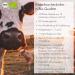 Jarmino Organic Bone Broth - 12x350ml Beef Broth with Collagen & Protein | Pasture Raised | Natural Alternative to Collagen Hydrolysate & Capsules - Buy Online on GoSupps.com