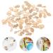 Warmhm 50pcs Wooden Animals & Plants DIY Wood Slices - Unfinished Crafts Ornaments for Home D cor - Buy Online on GoSupps.com