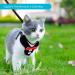 Nobleza Small Dog Harness and Cat Leash Set with Bowtie | Adjustable Metal Clip | Breathable Air Mesh for Puppies, Kitties, Small Dogs, and Cats - S Size (Chest Girth 9-16.5) - Buy Online on GoSupps.com