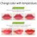 Kaynest Aloe Vera Lipstick Set-C - 2 Pack Moisturizing Lip Balm for Long Lasting Color Change - Buy Online on GoSupps.com