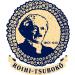 ROIHI-TSUBOKO COOL 156 PAIN RELIEF PATCHES - Buy Online on GoSupps.com