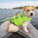 Buy Cit toile Shark Dog Life Jacket - Stylish & Safe Vest for Small Medium & Large Dogs | Mermaid Tail Design in Green - Buy Online on GoSupps.com