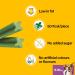 Pedigree Dentastix Fresh Daily Dental Chews Small Dog - 112 Sticks (4 x 440g) - Flavor 5 - Buy Online on GoSupps.com