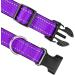 Buy Joytale Reflective Dog Collar for Medium Dogs - Purple M Size (Pack of 1) | International Shipping - Buy Online on GoSupps.com