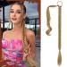 Sofeiyan Long Braid Ponytail Extension with Hair Tie Straight Sleek Wrap Around Hair Extensions Braid Pony Tail Fluffy Natural Soft Synthetic Hairpieces for Women Daily Wear 30 inch 30 Inch (Pack of 1) Blonde with Pale Gold Highlights