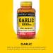 MASON NATURAL Garlic Oil 1000 mg 100 Day Supply Softgels Supports Normal Circulatory Function 1 Pack - Buy Online on GoSupps.com