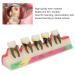 Dental Periodontal Disease Model Tooth Disease Study Teaching Model for Dental School - Buy Online on GoSupps.com
