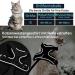 Schwartz S Cat Dishes with Leash - Premium Cat Harness for Maine Coons & Large Cats - Durable Cat Leash & Feeding Dish Combo - Buy Online on GoSupps.com