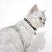 2 PCS Breakaway Cat Collar Set with Bell - Cute Adjustable Kitten Collars in Blue and Black - Buy Online on GoSupps.com