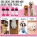 AUTOWT Anti Slip Dog Socks 3 Pairs - Indoor Hardwood Floor Dog Paw Protector Prevents Wear and Tear Pet Dog Adjustable Anti-Shedding Dog Socks for Small Medium Large Dogs(M 3 Pairs - Fuchsia) Medium 3 Pairs - Fuchsia - Buy Online on GoSupps.com