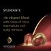  L'OR L'OR Espresso Splendente Intensity 7 Nespresso* compatible coffee capsules (pack of 10 100 capsules total) - Buy Online on GoSupps.com