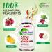 Apple Cider Vinegar Gummies with The Mother - Immunity Boost, Detox, Gluten-Free, Vegan - 100% Natural Non-GMO - B12, B6, Beet, Carrot & Pomegranate - 1 Month Supply - Buy Online on GoSupps.com