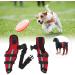 Dog Knee Brace Adjustable Dog Leg Brace Double Rear Leg Brace Elastic Shockproof Dog ACL Brace CCL Brace Hind Leg Pet Knee Pads with Reflective Strips for Pets and Dogs (S) Small - Buy Online on GoSupps.com