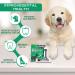 Orlpevet Dog Dental Powder Dog Breath Freshener New generation dog toothpaste dog teeth cleaning powder Reduce Tartar&Plaque off pet dental powder for small medium large dogs 15packs-75g - Buy Online on GoSupps.com